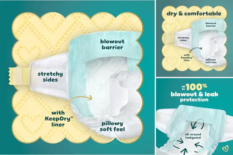 Detailed view of Best Absorbent Core Pampers Swaddlers