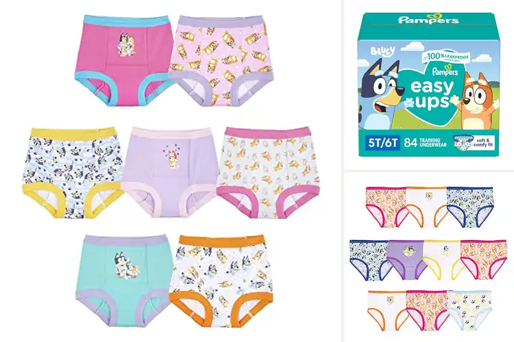 Detailed view of Best Bluey Training Underwear: Fun Potty Training Made Easy