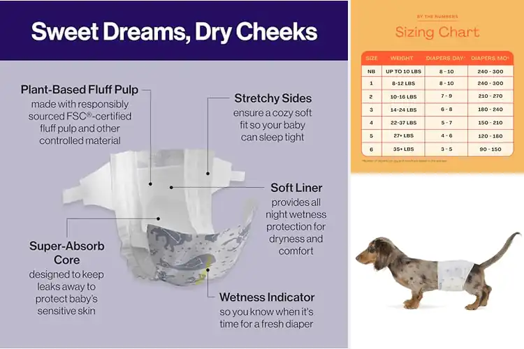 Detailed view of Best Designed Diapers