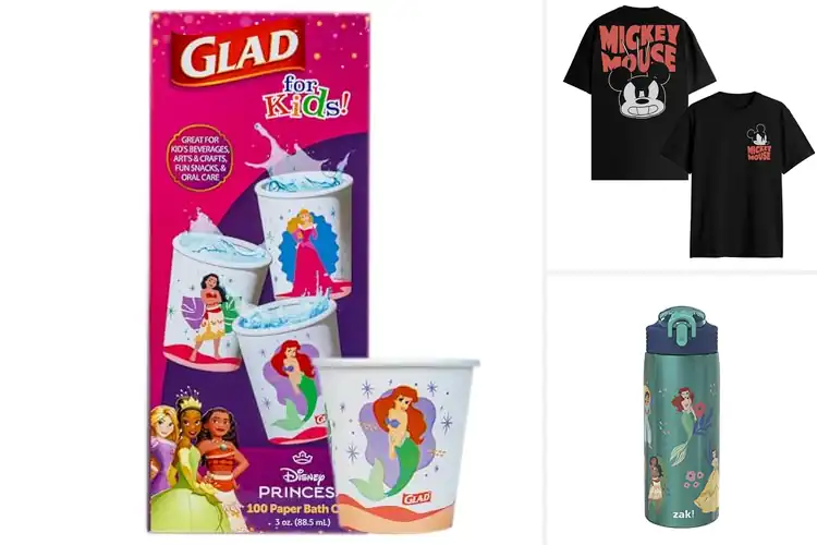 Detailed view of Best Disney Designs