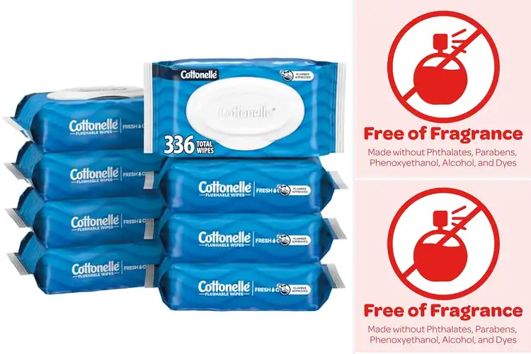 Detailed view of Best Flip Top Packs Wipes