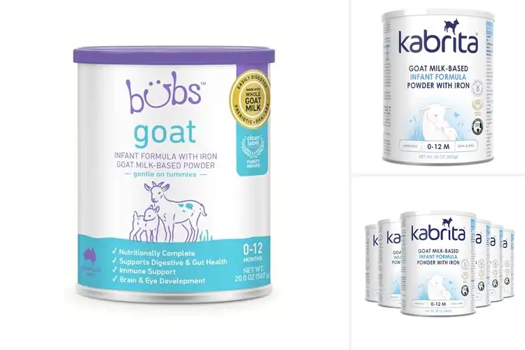 Detailed view of Best Goat Milk Infant Formulas