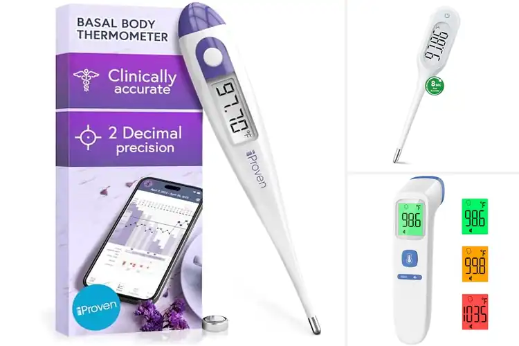 Detailed view of Best Memory Thermometers