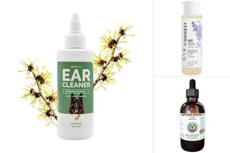 Detailed view of Best Naturally Derived Chamomile Aloe Extract