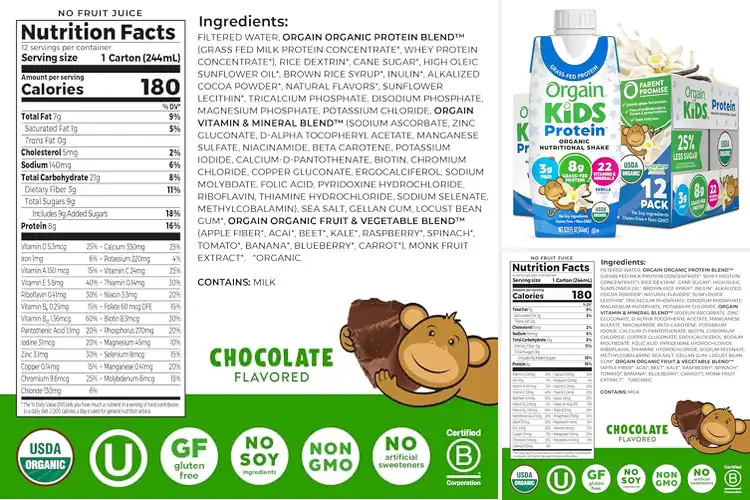 Detailed view of Best Organic Kids Protein Shakes