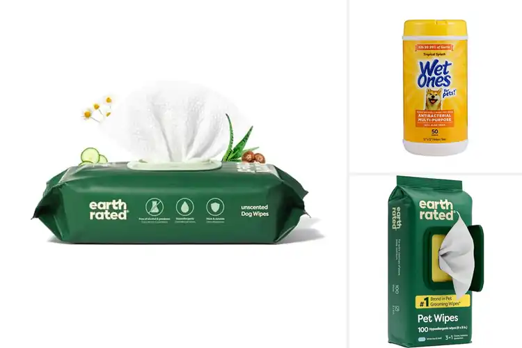 Detailed view of Best Pet Paw Cleaning Wipes: Happy Paws, Happy Home