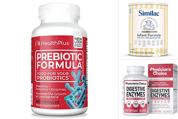 Detailed view of Best Prebiotic Formulas