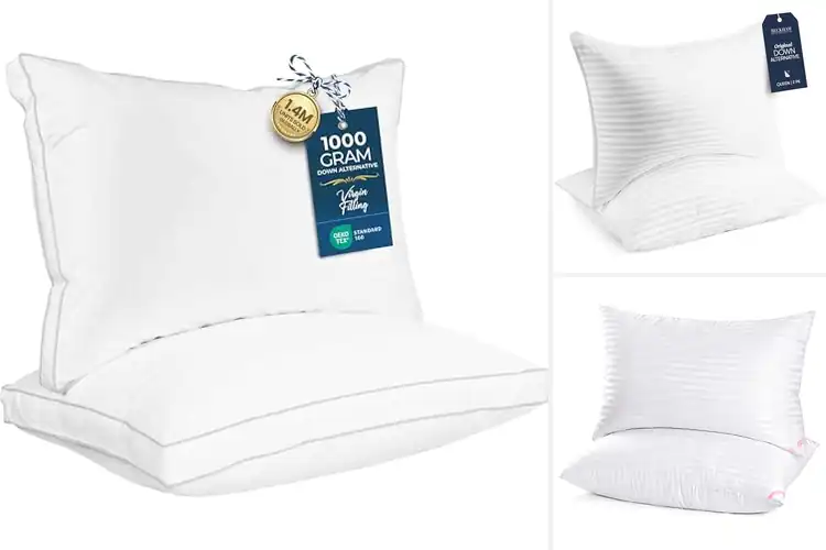 Detailed view of Best Sleeping Pillows