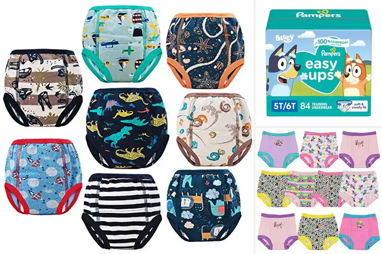 Detailed view of Best Toddler Training Underwear: Potty Training Made Easy