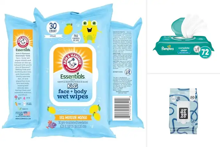 Detailed view of Best Travel Friendly Flip Top Wipes
