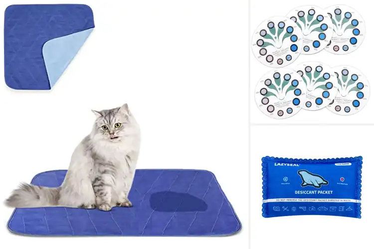 Detailed view of Best Wetness Indicator Color Changing